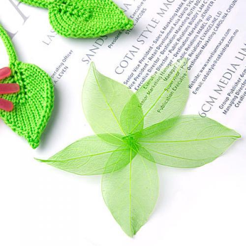 ใบไม้แห้งธรรมชาติอเนกประสงค์สำ - Embellishments For Scrapbooking บทวิจารณ์และราคา