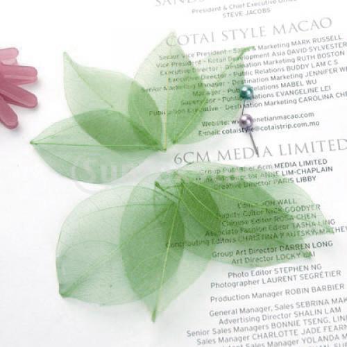 ใบไม้แห้งธรรมชาติอเนกประสงค์สำ - Embellishments For Scrapbooking บทวิจารณ์และราคา