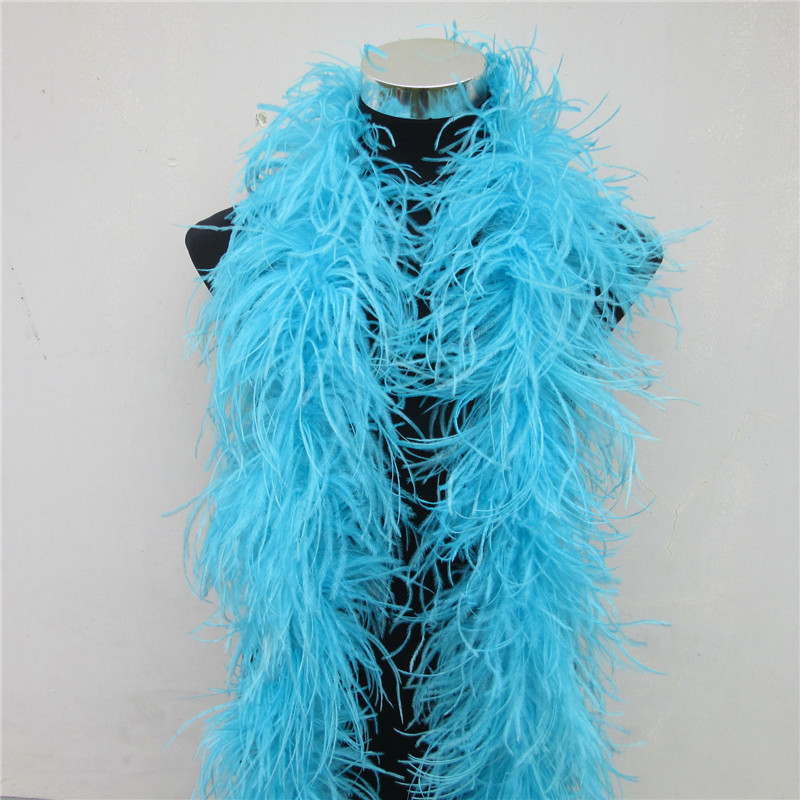 2 เมตร 6 ชั้นขนนกกระจอกเทศธรรม - Feather Trim Marabou บทวิจารณ์และราคา