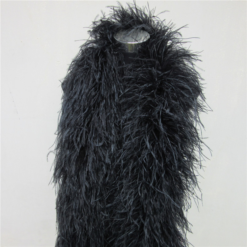2 เมตร 6 ชั้นขนนกกระจอกเทศธรรม - Feather Trim Marabou บทวิจารณ์และราคา