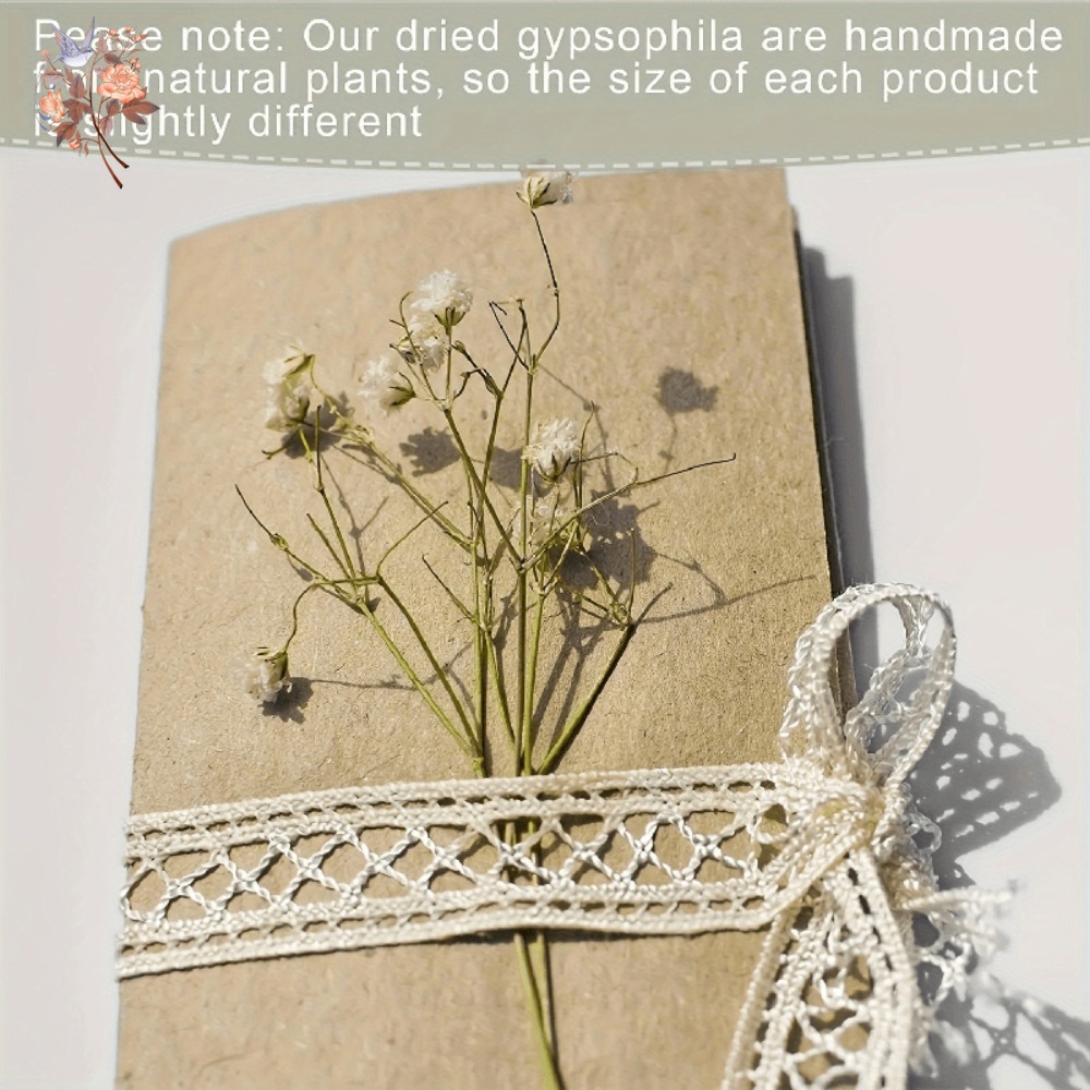 ดอกยิปโซฟิล่าแห้งขนาดเล็ก 100  - Embellish Craft บทวิจารณ์และราคา